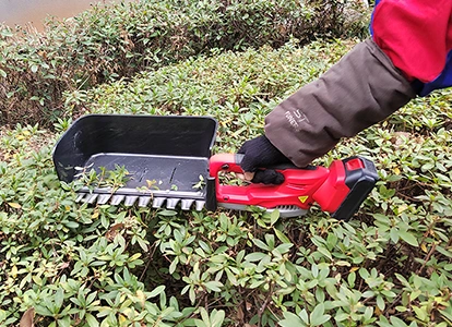 Tea picking machines